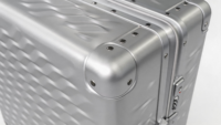 Valise de voyage en aluminium aviation moulé sous pression motif écailles de dragon 20/24 pouces, bagage à main OEM ODM, ensemble de bagages
