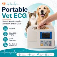 Equipo Veterinario para el Cuidado de Mascotas, Electrocardiógrafo Digital de 3 Canales, Electrocardiógrafo Económico