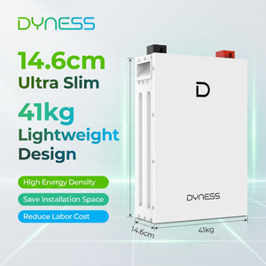 Batería Dyness DL5.0F 5kWh 51.2V 100Ah LiFePO4, 8000 ciclos, sistema de almacenamiento de energía doméstico inteligente con BMS, para energía solar - Product Image 2