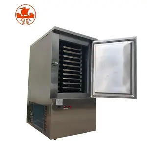 Best Quality China Manufacturer Supermarket Commercial Blast Freezer Refrigeration Equipment