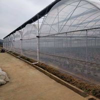 Serres vertes en plastique à plusieurs travées d'excellente résistance avec conteneur d'agriculture hydroponique