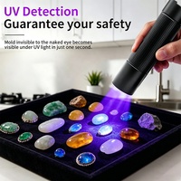 Lampe torche UV haute puissance 365 nm avec filtre en verre noir, lumière noire UV pure pour la détection de fuites NDT, la vérification de la fausse facture, du jade et de l'ambre