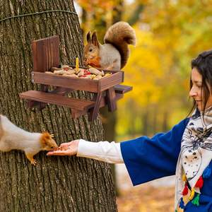 다람쥐와 다람쥐를위한 옥수수 속 홀더가있는 나무 둥근 다람쥐 피크닉 테이블 피더 작은 동물 응용 - Product Image 5