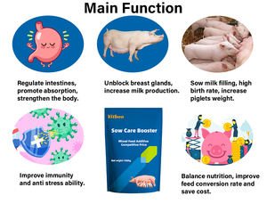 Aditivo Alimenticio para Cerdas, Aumenta la Tasa de Parto, Mejora el Peso de los Lechones, Premezcla Animal, Fabricación OEM, Suplemento para Ganado - Product Image 4