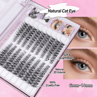 Extensions de cils DIY segmentées 5 styles : effet œil de chat, œil de renard, hybride, Foxy Flare, Wispy – Faux cils synthétiques faits main, doux