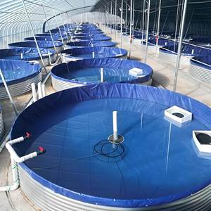 Attrezzatura per Acquacoltura: Vasche per Pesci in Tela di Ferro Zincato Ecologico da 4m di Diametro, Alta Resistenza, Senza Perdite, per Esterni (Nile) - Product Image 2