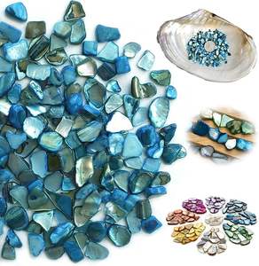 सीस्टार असली स्पर्श प्राकृतिक आकार के छोटे-छोटे सीशेल चिप्स शादी के वेस फिलर्स को डिए होम डेकोर और पार्टी सजावट - Product Image 3