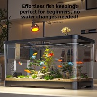 Filtre pour aquarium domestique, petit aménagement paysager écologique créatif pour poissons rouges, ensemble complet, pas de changement d'eau requis, aucun matériel nécessaire