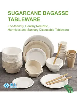 चीन कारखाने सस्ती कीमत OEM प्रयोज्य tableware गन्ना खोई सफेद पेपर प्लेट्स