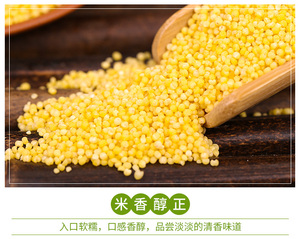 Millet jaune décortiqué biologique premium non glutineux Deyuanxin 25kg en vrac de Jilin Chine - Durée de conservation de 18 mois pour la transformation alimentaire - Product Image 6