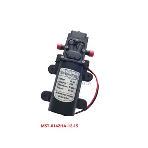 Máy Phun Pin Nông Nghiệp Nhỏ, Máy Bơm Phun Nước Áp Suất Cao Nhỏ 24V Để Rửa Xe Dc 12 V Màng Ngăn Chân Không 12 V 45W