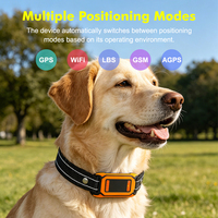Nouveau modèle de traceur GPS pour chiens et chats, collier intelligent en plastique/nylon avec suivi en temps réel, étanche, sans frais mensuels
