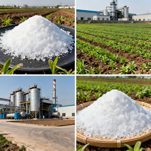Sulfate <span class=keywords><strong>de</strong></span> <span class=keywords><strong>zinc</strong></span> monohydraté, norme internationale, haute pureté - Product Image 6