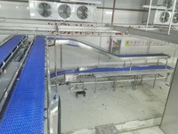Automatische vleesverwerkings- en snijlijn van roestvrij staal voor het portioneren van vlees in voedingsmiddelenfabrieken