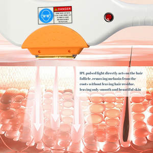 אנטי אייג 'ינג עור התחדשות <span class=keywords><strong>ipl</strong></span> הסרת שיער <span class=keywords><strong>ipl</strong></span> הסרת שיער pl לנשים וגברים - Product Image 6