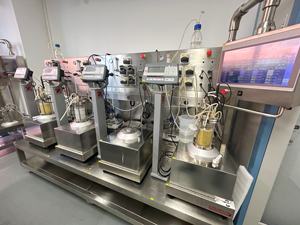 Fermentador de biorreactor de banco con camisa de vidrio agitado magnético de 1L con recipiente a presión y control automático de la BLBIO-GC - Product Image 6