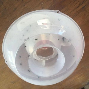 Trampa para Moscas de la Fruta, No Tóxica, para Cocina, Atrapa Mosquitos, Drosophila, Control de Moscas Domésticas, Venta al Por Mayor - Product Image 6