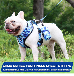 Conjunto de arnés ajustable para perro, accesorios personalizados para mascotas, con sublimación, Collar y Correa, 2021 - Product Image 5