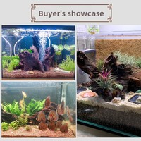 Plante aquatique artificielle violette moderne en gros pour aquarium, décoration paysagère, cachette naturelle pour aquariums et scènes aquatiques