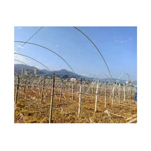 Haoli, venta al por mayor, varilla de fibra de vidrio no conductora de alta calidad para palo de escoba/techo de invernadero/banderas de marcado/tienda - Product Image 6