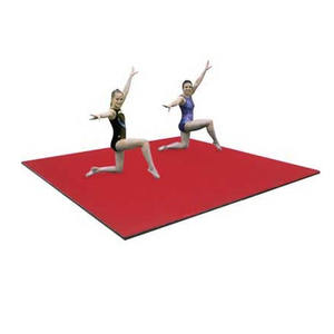 ZONWINXIN fabbrica fornisce attrezzature per la ginnastica personalizzate il tappetino da <span class=keywords><strong>Cheerleading</strong></span> tappeto incollato schiuma casa/Stunt Flexi stuoie - Product Image 2