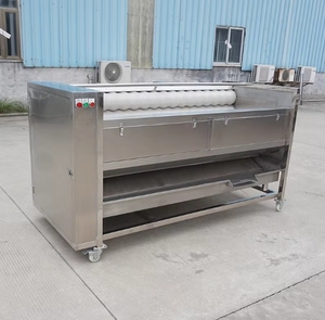 Cepillo para máquina de frutas vegetales, cáscara de <span class=keywords><strong>cebolla</strong></span>, lavado, rodillo seco, pelador de raíz de yuca, pelador de jengibre, equipo de lavado de frutas - Product Image 2