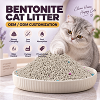 Litière pour chat en bentonite de sodium écologique de qualité supérieure, en forme de boule, sans poussière, à agglomération rapide, contrôle des odeurs, hautement absorbante, OEM ODM