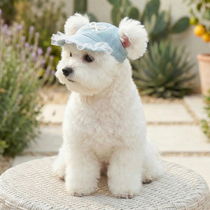 PETCIRCLE Pet Circle Pet Hats Spring/Summer New Arrival Sun Hats Dog Supplies Small Dog Hats - Product Image 4