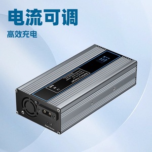 Chargeur de véhicule électrique E-SUN 700W 48V-230V réglable, portable, numérique, pour moto et tricycle - Product Image 5