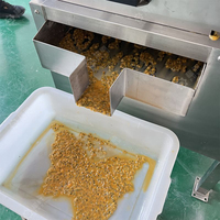 Commerciële Fruitextractor Granaatappelpulpmachine Passievruchtensapmachine