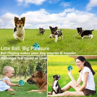 Jouet à mâcher interactif en caoutchouc pour chat et chien, avec herbe à chat, mignon et durable, vente en gros d'usine