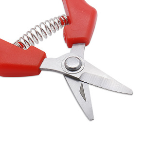 Tijeras de jardinería de acero al carbono, podadora de bypass para árboles frutales, tamaño pequeño, mango de plástico manual. - Product Image 2