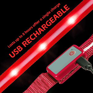 Logotipo personalizado impreso Nylon IPX7 impermeable USB recargable Light up Pet Lead Night Safety Glowing LED <span class=keywords><strong>Dog</strong></span> Leash - Product Image 3