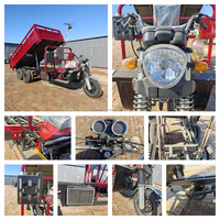 Tricycle moto cargo à moteur essence 350cc, neuf roues, conçu pour le transport lourd et le transport de passagers, avec benne basculante et marche arrière.