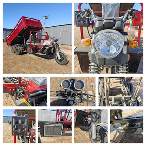 Tricycle moto cargo à moteur <span class=keywords><strong>essence</strong></span> 350cc, <span class=keywords><strong>neuf</strong></span> roues, conçu pour le transport lourd et le transport de passagers, avec benne basculante et marche arrière. - Product Image 3