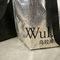 Sac de courses réutilisable imperméable en PP tissé, sac de transport solide, sac de plage extérieur, sac de shopping écologique, sac fourre-tout argenté