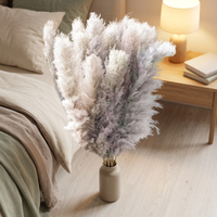 Rumput Pampas Kering Alami Besar Warna Beige untuk Dekorasi Rumah, Wisuda, Hari Ibu, Gaya Bohemian, Ramah Lingkungan, dan Pernikahan