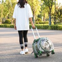 Sac de transport à roulettes transparent classique grande capacité en EVA et maille PU avec fermeture éclair, sac à dos de voyage portable pour chats et petits animaux