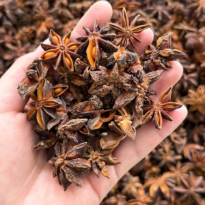 Hochwertiger Getrockneter Roher Ganzer Sternanis aus China Export - Product Image 6