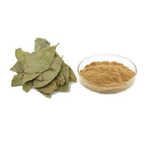 bay leaf Extract 10:1 laurel leaf Extract powder 20:1