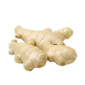 best price fresh ginger from chinese with factory direct sale