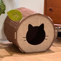Maison pour chat en feutre en forme de trous d'arbre, motif silhouette de tête de chat, semi-fermée, lit pour chat toutes saisons avec griffoir intégré