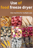 Qd Grote Commerciële Vriesdroger Voor Knapperige Fruitmaterialen Huisdiervlees Durian Aardbei Food Grade Vacuümvriesdroger