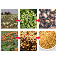 Machine d'extraction et de séparation des graines de pastèque et de citrouille avec certification CE