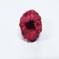 Frutos Secos de Frambuesa Liofilizados, Crujientes y Naturales, Servicio Personalizado, Suministro al por Mayor Directo de Fábrica con Muestra Gratuita