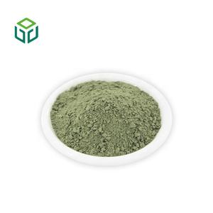 Poudre de varech de mer de qualité alimentaire, extrait de wakame, déshydratée, pour usage en complément alimentaire - Product Image 3