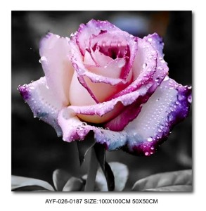 Dipinti di Fiori Bellissimi Personalizzabili Huaben per <span class=keywords><strong>Camera</strong></span> <span class=keywords><strong>da</strong></span> <span class=keywords><strong>Letto</strong></span> e Soggiorno, Decorazioni per la Casa con Motivi Personalizzati - Product Image 3