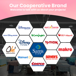 Fornitore Verificato FAMA <span class=keywords><strong>Disney</strong></span>, Set Costume da Principessa con Tutti gli Accessori, Fabbrica Certificata per Conformità Globale, Vendita Diretta - Product Image 6