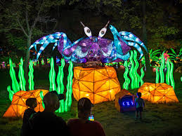 Lanternes géantes LED personnalisées en forme de tortue de mer - Éclairage extérieur imperméable pour festivals et décorations - Product Image 2