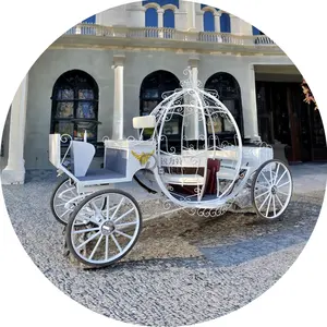 2024 Goldener Kürbis Pferdekutsche für Hochzeit Prinzessin Pferdestürrenwagen Sightseeing Touristen Pferdedruckwagen